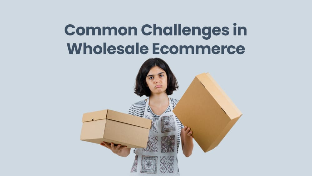 Common Challenges in Wholesale Ecommerce